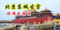 看小逼被插网站中国北京-东城古宫旅游风景区